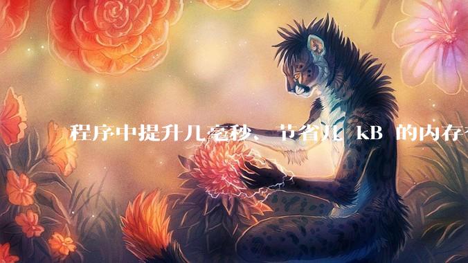 程序中提升几毫秒、节省几 kB 的内存有必要吗？