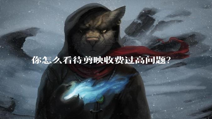 你怎么看待剪映收费过高问题？